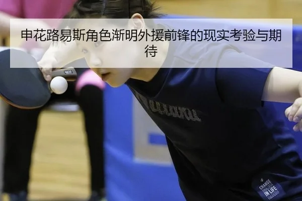申花路易斯角色渐明外援前锋的现实考验与期待